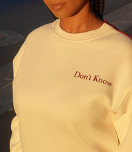 Load image into Gallery viewer, Don&#39;t Know, Don&#39;t Care Crewneck(Cherry/Off White)
